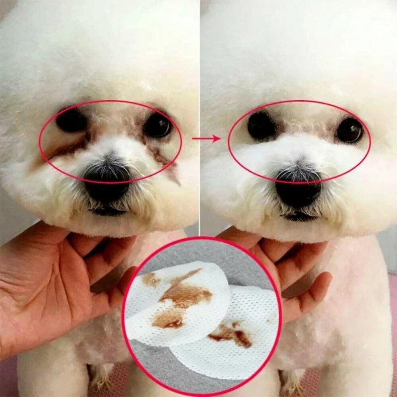 PAWS AND CARE PET EYES CLEAN AND IRRITATION