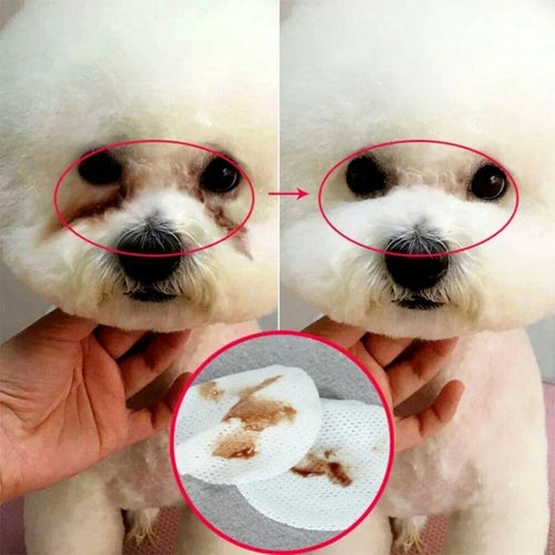 PAWS AND CARE PET EYES CLEAN AND IRRITATION