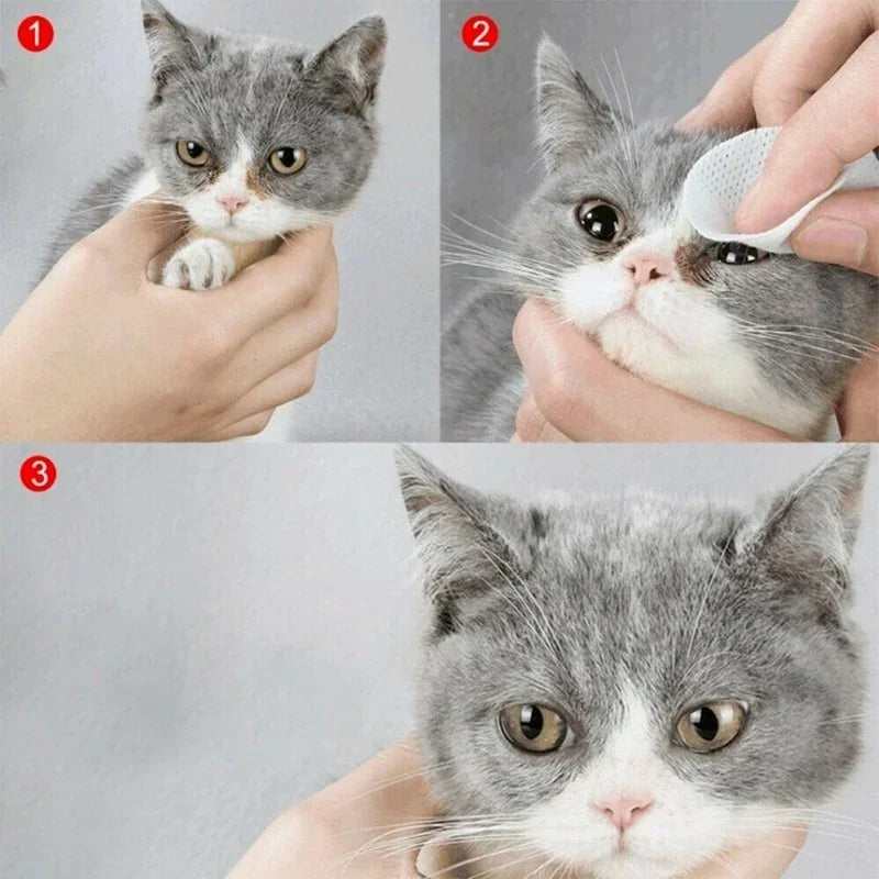 PAWS AND CARE PET EYES CLEAN AND IRRITATION
