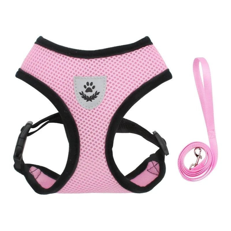 PAWS AND CARE PET SECURE AND COMFORTABLE HARNESS