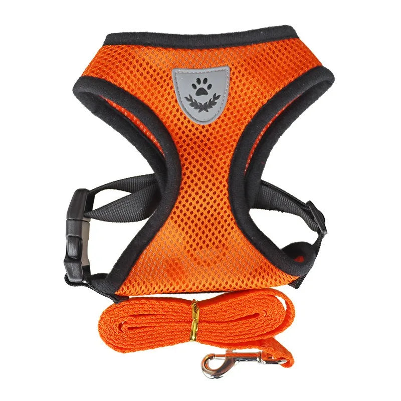 PAWS AND CARE PET SECURE AND COMFORTABLE HARNESS
