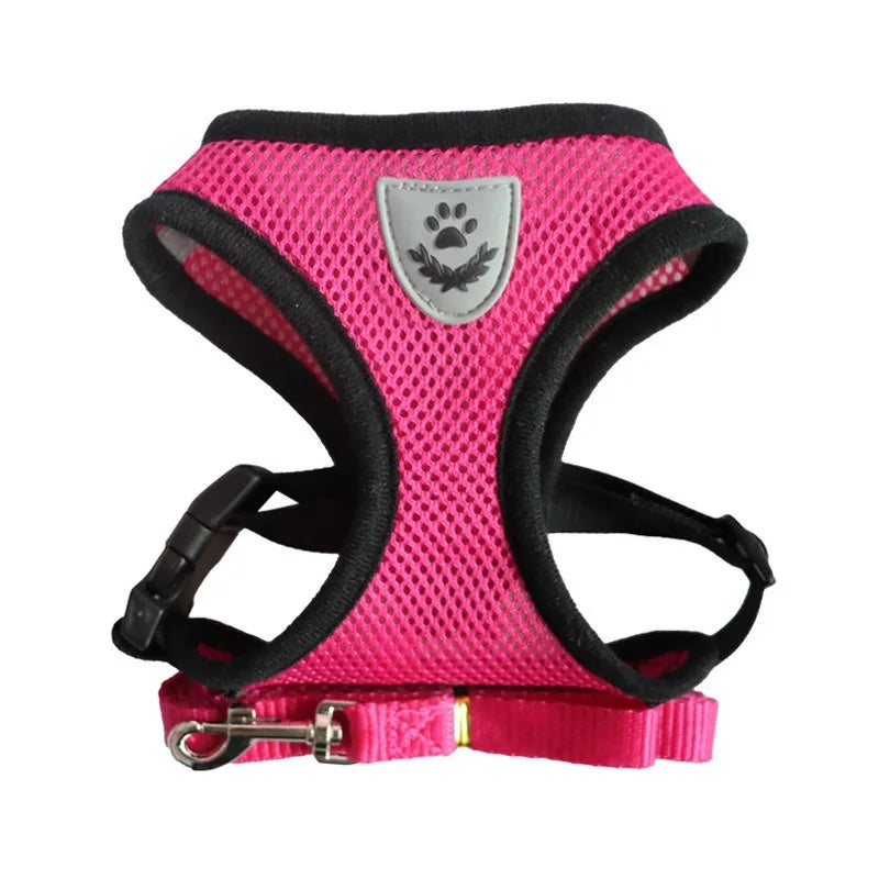 PAWS AND CARE PET SECURE AND COMFORTABLE HARNESS