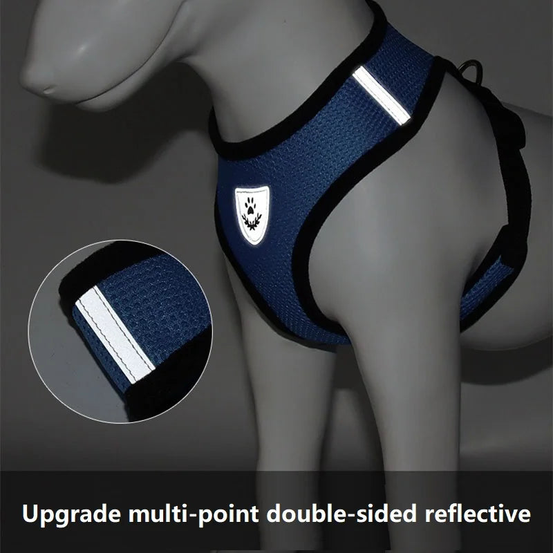 PAWS AND CARE PET SECURE AND COMFORTABLE HARNESS